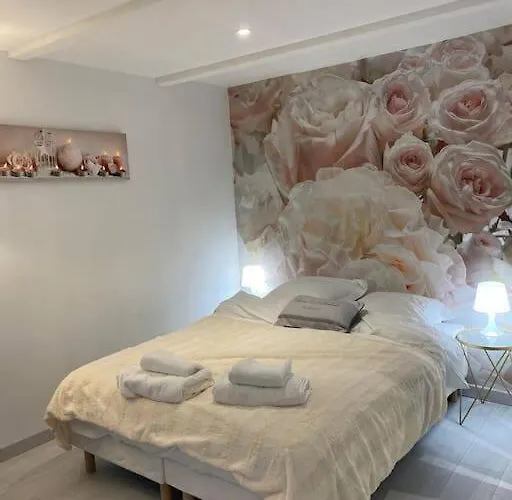 Esprit Romantique Lägenhet Mulhouse